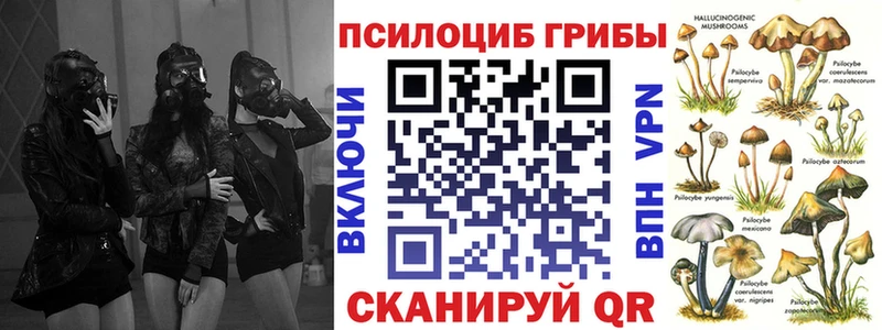 Псилоцибиновые грибы ЛСД  Купить где  Вязьма 