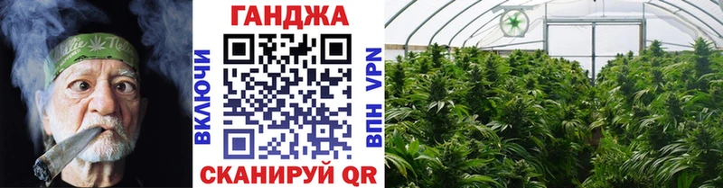 Купить  Вязьма  Конопля план 